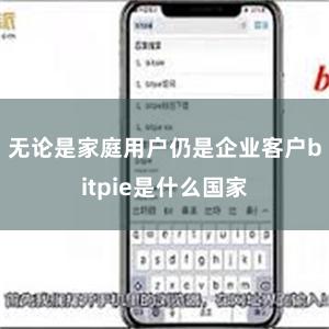 无论是家庭用户仍是企业客户bitpie是什么国家